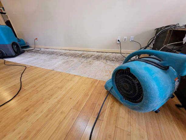 Professional Emergency Water Damage technician working in Roseville, MI